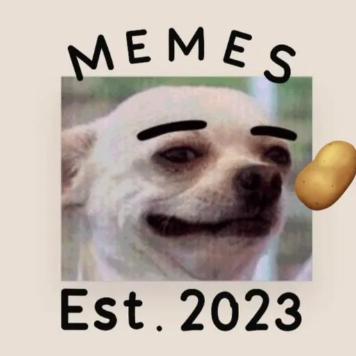 MEMESS WhatsApp kanal görseli