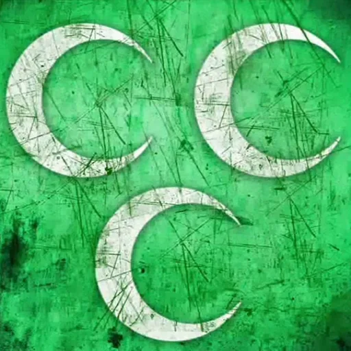 MERKEZ ALPERENLER PARTİSİ WhatsApp kanal görseli